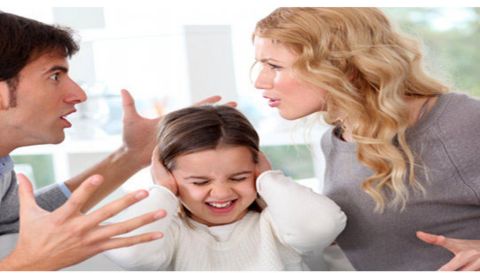 Family problem solution  astrologer in amritsar pandit om shastri ji