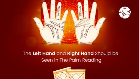palm reading astrologer in amritsar pandit om shastri 